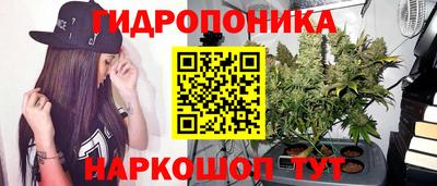 spice Можайск